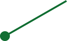 Protalus