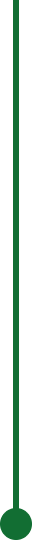 Protalus