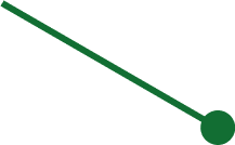 Protalus
