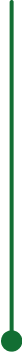 Protalus