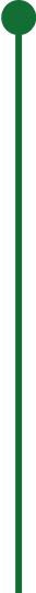 Protalus