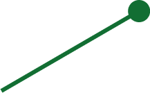 Protalus