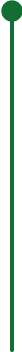 Protalus