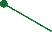 Protalus